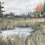 Chessel's Pond